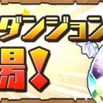 【パズドラ】第42回チャレンジダンジョンレベル9 転生ハク ソロノーコン攻略