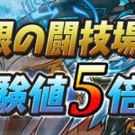 【パズドラ】3人でワイワイ「協力極限の闘技場 神格の表裏」の周回パーティー